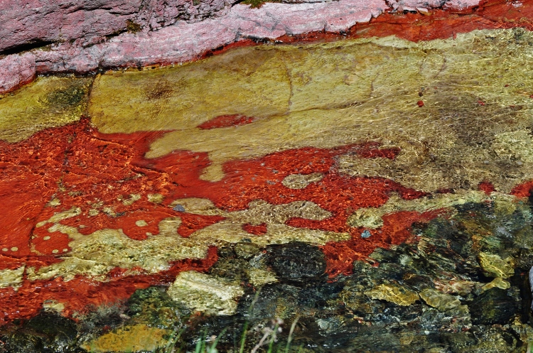 rock underwater